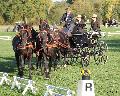 Photo n 35484&#10;&#10;&#10;Affiche 32 fois&#10;Ajoute le 15/10/2015 11:27:34 par Patfra&#10;&#10;--> Cliquer pour agrandir <--