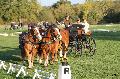 Photo n 35490&#10;&#10;&#10;Affiche 49 fois&#10;Ajoute le 15/10/2015 11:27:34 par Patfra&#10;&#10;--> Cliquer pour agrandir <--