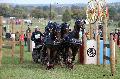 Photo n 35505&#10;&#10;&#10;Affiche 27 fois&#10;Ajoute le 15/10/2015 16:21:29 par Patfra&#10;&#10;--> Cliquer pour agrandir <--