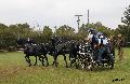 Photo n 35510&#10;&#10;&#10;Affiche 15 fois&#10;Ajoute le 16/10/2015 08:34:07 par Patfra&#10;&#10;--> Cliquer pour agrandir <--