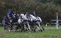 Photo n 35517&#10;&#10;&#10;Affiche 48 fois&#10;Ajoute le 16/10/2015 08:34:07 par Patfra&#10;&#10;--> Cliquer pour agrandir <--