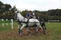 Photo n 35518&#10;&#10;&#10;Affiche 35 fois&#10;Ajoute le 16/10/2015 08:34:07 par Patfra&#10;&#10;--> Cliquer pour agrandir <--