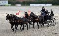 Photo n 35526&#10;&#10;&#10;Affiche 24 fois&#10;Ajoute le 16/10/2015 08:34:24 par Patfra&#10;&#10;--> Cliquer pour agrandir <--
