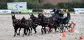 Photo n 35527&#10;&#10;&#10;Affiche 19 fois&#10;Ajoute le 16/10/2015 08:34:24 par Patfra&#10;&#10;--> Cliquer pour agrandir <--