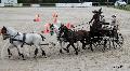 Photo n 35534&#10;&#10;&#10;Affiche 34 fois&#10;Ajoute le 16/10/2015 08:34:47 par Patfra&#10;&#10;--> Cliquer pour agrandir <--