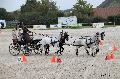 Photo n 35535&#10;&#10;&#10;Affiche 33 fois&#10;Ajoute le 16/10/2015 08:34:47 par Patfra&#10;&#10;--> Cliquer pour agrandir <--