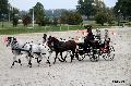 Photo n 35537&#10;&#10;&#10;Affiche 46 fois&#10;Ajoute le 16/10/2015 08:34:47 par Patfra&#10;&#10;--> Cliquer pour agrandir <--