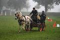 Photo n 35544&#10;Compigne Finale J.C. 2015. Photo Chevalandrieu&#10;Patrick JOYAUX avec Vmax du Thor. Fjord.&#10;Affiche 46 fois&#10;Ajoute le 17/10/2015 15:55:23 par Nadinetoudic&#10;&#10;--> Cliquer pour agrandir <--