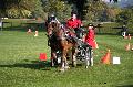 Photo n 35546&#10;Compigne Finale J.C. 2015. Photo Chevalandrieu&#10;Yves FERNOUX avec Arion 4. Comtois.&#10;Affiche 207 fois&#10;Ajoute le 02/11/2015 18:19:28 par Nadinetoudic&#10;&#10;--> Cliquer pour agrandir <--