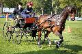 Photo n 35548&#10;Compigne Finale J.C. 2015. Photo Chevalandrieu&#10;Marion VIGNAUD avec First Quality. KWPN.&#10;Affiche 110 fois&#10;Ajoute le 02/11/2015 18:19:28 par Nadinetoudic&#10;&#10;--> Cliquer pour agrandir <--