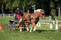 Photo n 35549&#10;Compigne Finale J.C. 2015. Photo Chevalandrieu&#10;Damien PRETET avec Boulette 6. Comtois.&#10;Affiche 21 fois&#10;Ajoute le 02/11/2015 18:19:28 par Nadinetoudic&#10;&#10;--> Cliquer pour agrandir <--