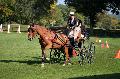 Photo n 35551&#10;Compigne Finale J.C. 2015. Photo Chevalandrieu&#10;Clment DESCHAMPS avec Falco. Franche-Montagne.&#10;Affiche 24 fois&#10;Ajoute le 02/11/2015 18:19:28 par Nadinetoudic&#10;&#10;--> Cliquer pour agrandir <--