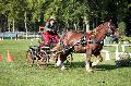 Photo n 35553&#10;Compigne Finale J.C. 2015. Photo Chevalandrieu&#10;Gwenael LE JONCOUR avec Ai'ta du Cleuziou. Breton.&#10;Affiche 64 fois&#10;Ajoute le 02/11/2015 18:19:28 par Nadinetoudic&#10;&#10;--> Cliquer pour agrandir <--
