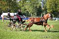 Photo n 35554&#10;Compigne Finale J.C. 2015. Photo Chevalandrieu&#10;Norbert COULON avec Alto de Valliere. Cob Normand.&#10;Affiche 23 fois&#10;Ajoute le 02/11/2015 18:19:28 par Nadinetoudic&#10;&#10;--> Cliquer pour agrandir <--
