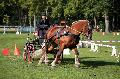 Photo n 35555&#10;Compigne Finale J.C. 2015. Photo Chevalandrieu&#10;Mickael ROBERT avec Apero 8. Comtois.&#10;Affiche 25 fois&#10;Ajoute le 02/11/2015 18:19:28 par Nadinetoudic&#10;&#10;--> Cliquer pour agrandir <--