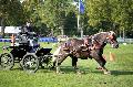 Photo n 35556&#10;Compigne Finale J.C. 2015. Photo Chevalandrieu&#10;Jordane MANSUY avec Acetea. Comtois.&#10;Affiche 40 fois&#10;Ajoute le 02/11/2015 18:32:19 par Nadinetoudic&#10;&#10;--> Cliquer pour agrandir <--