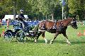 Photo n 35558&#10;Compigne Finale J.C. 2015. Photo Chevalandrieu&#10;Pierrig ABRASSART avec Arkane de Trocoet. Breton&#10;Affiche 39 fois&#10;Ajoute le 02/11/2015 18:32:19 par Nadinetoudic&#10;&#10;--> Cliquer pour agrandir <--