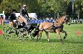 Photo n 35559&#10;Compigne Finale J.C. 2015. Photo Chevalandrieu&#10;Clment DESCHAMPS avec Vicomte des Souces. Poney Franais de Selle.&#10;Affiche 29 fois&#10;Ajoute le 02/11/2015 18:32:19 par Nadinetoudic&#10;&#10;--> Cliquer pour agrandir <--