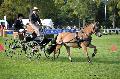 Photo n° 35559
Compiègne Finale J.C. 2015. Photo Chevalandrieu
Clément DESCHAMPS avec Vicomte des Souces. Poney Français de Selle.
Affichée 27 fois
Ajoutée le 02/11/2015 18:32:19 par Nadinetoudic

--> Cliquer pour agrandir <--