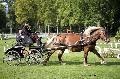 Photo n 35560&#10;Compigne Finale J.C. 2015. Photo Chevalandrieu&#10;Karine CORBET avec Anisette du Riolet. Comtois.&#10;Affiche 32 fois&#10;Ajoute le 02/11/2015 18:32:19 par Nadinetoudic&#10;&#10;--> Cliquer pour agrandir <--