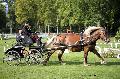 Photo n° 35560
Compiègne Finale J.C. 2015. Photo Chevalandrieu
Karine CORBET avec Anisette du Riolet. Comtois.
Affichée 30 fois
Ajoutée le 02/11/2015 18:32:19 par Nadinetoudic

--> Cliquer pour agrandir <--