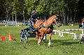 Photo n 35563&#10;Compigne Finale J.C. 2015. Photo Chevalandrieu&#10;Malwenn NOGER avec Armony de Trocoet. Breton.&#10;Affiche 32 fois&#10;Ajoute le 02/11/2015 18:32:19 par Nadinetoudic&#10;&#10;--> Cliquer pour agrandir <--