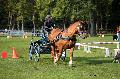 Photo n° 35563
Compiègne Finale J.C. 2015. Photo Chevalandrieu
Malwenn NOGER avec Armony de Trocoet. Breton.
Affichée 29 fois
Ajoutée le 02/11/2015 18:32:19 par Nadinetoudic

--> Cliquer pour agrandir <--