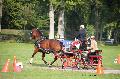 Photo n 35564&#10;Compigne Finale J.C. 2015. Photo Chevalandrieu&#10;Eric LAVILLE avec Lorraine. Franche Montagne.&#10;Affiche 37 fois&#10;Ajoute le 02/11/2015 18:32:19 par Nadinetoudic&#10;&#10;--> Cliquer pour agrandir <--