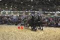 Photo n 35569&#10;EQUITALYON et l'ARAA   photo Franck Patin&#10;Alain BERTHON&#10;Affiche 20 fois&#10;Ajoute le 10/11/2015 08:14:56 par JeanClaudeGrognet&#10;&#10;--> Cliquer pour agrandir <--
