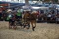 Photo n 35572&#10;EQUITALYON et l'ARAA   photo Franck Patin&#10;Carne BOUVIER&#10;Affiche 23 fois&#10;Ajoute le 10/11/2015 08:14:56 par JeanClaudeGrognet&#10;&#10;--> Cliquer pour agrandir <--