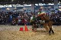 Photo n 35573&#10;EQUITALYON et l'ARAA   photo Franck Patin&#10;Carne BOUVIER&#10;Affiche 14 fois&#10;Ajoute le 10/11/2015 08:14:56 par JeanClaudeGrognet&#10;&#10;--> Cliquer pour agrandir <--