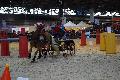 Photo n 35577&#10;EQUITALYON et l'ARAA   photo Franck Patin&#10;Carne BOUVIER&#10;Affiche 19 fois&#10;Ajoute le 10/11/2015 08:14:56 par JeanClaudeGrognet&#10;&#10;--> Cliquer pour agrandir <--
