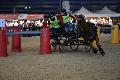 Photo n 35578&#10;EQUITALYON et l'ARAA   photo Franck Patin&#10;Fabien FAURE&#10;Affiche 18 fois&#10;Ajoute le 10/11/2015 08:14:56 par JeanClaudeGrognet&#10;&#10;--> Cliquer pour agrandir <--