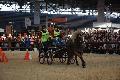 Photo n 35579&#10;EQUITALYON et l'ARAA   photo Franck Patin&#10;Fabien FAURE&#10;Affiche 46 fois&#10;Ajoute le 10/11/2015 08:14:56 par JeanClaudeGrognet&#10;&#10;--> Cliquer pour agrandir <--