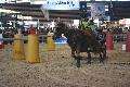 Photo n 35581&#10;EQUITALYON et l'ARAA   photo Franck Patin&#10;Fabien FAURE&#10;Affiche 17 fois&#10;Ajoute le 10/11/2015 08:14:56 par JeanClaudeGrognet&#10;&#10;--> Cliquer pour agrandir <--