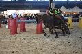 Photo n 35582&#10;EQUITALYON et l'ARAA   photo Franck Patin&#10;Fabien FAURE&#10;Affiche 39 fois&#10;Ajoute le 10/11/2015 08:14:56 par JeanClaudeGrognet&#10;&#10;--> Cliquer pour agrandir <--