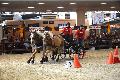Photo n 35585&#10;EQUITALYON et l'ARAA   photo Franck Patin&#10;Guy FAURE&#10;Affiche 16 fois&#10;Ajoute le 10/11/2015 08:14:56 par JeanClaudeGrognet&#10;&#10;--> Cliquer pour agrandir <--