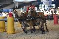 Photo n 35586&#10;EQUITALYON et l'ARAA   photo Franck Patin&#10;Guy FAURE&#10;Affiche 20 fois&#10;Ajoute le 10/11/2015 08:14:56 par JeanClaudeGrognet&#10;&#10;--> Cliquer pour agrandir <--