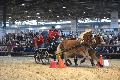 Photo n 35587&#10;EQUITALYON et l'ARAA   photo Franck Patin&#10;Guy FAURE&#10;Affiche 19 fois&#10;Ajoute le 10/11/2015 08:14:56 par JeanClaudeGrognet&#10;&#10;--> Cliquer pour agrandir <--