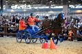 Photo n 35589&#10;EQUITALYON et l'ARAA   photo Franck Patin&#10;Jean-Michel OLIVE&#10;Affiche 29 fois&#10;Ajoute le 10/11/2015 08:14:56 par JeanClaudeGrognet&#10;&#10;--> Cliquer pour agrandir <--