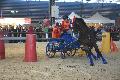 Photo n 35591&#10;EQUITALYON et l'ARAA   photo Franck Patin&#10;Jean-Michel OLIVE&#10;Affiche 48 fois&#10;Ajoute le 10/11/2015 08:14:56 par JeanClaudeGrognet&#10;&#10;--> Cliquer pour agrandir <--