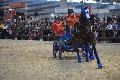Photo n 35592&#10;EQUITALYON et l'ARAA   photo Franck Patin&#10;Jean-Michel OLIVE&#10;Affiche 64 fois&#10;Ajoute le 10/11/2015 08:14:56 par JeanClaudeGrognet&#10;&#10;--> Cliquer pour agrandir <--
