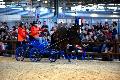 Photo n 35593&#10;EQUITALYON et l'ARAA   photo Franck Patin&#10;Jean-Michel OLIVE&#10;Affiche 34 fois&#10;Ajoute le 10/11/2015 08:14:56 par JeanClaudeGrognet&#10;&#10;--> Cliquer pour agrandir <--
