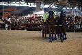 Photo n 35594&#10;EQUITALYON et l'ARAA   photo Franck Patin&#10;Jrome CHEZE&#10;Affiche 17 fois&#10;Ajoute le 10/11/2015 08:14:56 par JeanClaudeGrognet&#10;&#10;--> Cliquer pour agrandir <--