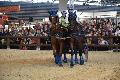 Photo n 35596&#10;EQUITALYON et l'ARAA   photo Franck Patin&#10;Jrome CHEZE&#10;Affiche 43 fois&#10;Ajoute le 10/11/2015 08:14:56 par JeanClaudeGrognet&#10;&#10;--> Cliquer pour agrandir <--