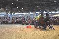 Photo n 35597&#10;EQUITALYON et l'ARAA   photo Franck Patin&#10;Jrome CHEZE&#10;Affiche 106 fois&#10;Ajoute le 10/11/2015 08:14:57 par JeanClaudeGrognet&#10;&#10;--> Cliquer pour agrandir <--