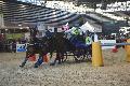 Photo n 35601&#10;EQUITALYON et l'ARAA   photo Franck Patin&#10;Jrome CHEZE&#10;Affiche 42 fois&#10;Ajoute le 10/11/2015 08:14:57 par JeanClaudeGrognet&#10;&#10;--> Cliquer pour agrandir <--