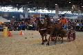 Photo n 35602&#10;EQUITALYON et l'ARAA   photo Franck Patin&#10;Rmi CHEZE&#10;Affiche 58 fois&#10;Ajoute le 10/11/2015 08:14:57 par JeanClaudeGrognet&#10;&#10;--> Cliquer pour agrandir <--