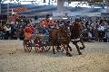 Photo n 35604&#10;EQUITALYON et l'ARAA   photo Franck Patin&#10;Rmi CHEZE&#10;Affiche 44 fois&#10;Ajoute le 10/11/2015 08:14:57 par JeanClaudeGrognet&#10;&#10;--> Cliquer pour agrandir <--