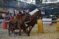 Photo n 35605&#10;EQUITALYON et l'ARAA   photo Franck Patin&#10;Rmi CHEZE&#10;Affiche 60 fois&#10;Ajoute le 10/11/2015 08:14:57 par JeanClaudeGrognet&#10;&#10;--> Cliquer pour agrandir <--